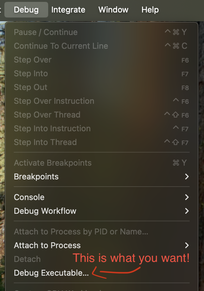 Xcode debug menu